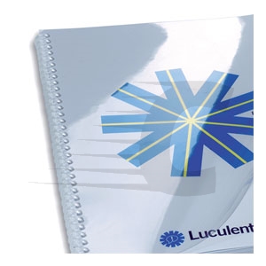 Capas de encadernação HiClear GBC | PVC | A4 | 100 unidades