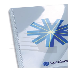 Capas de encadernação HiClear GBC | PVC | A4 | 25 unidades