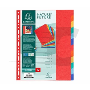 Exacompta Separador cartulina A4 de 12 posições