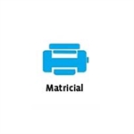 Impressora Matricial