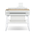 HP DesignJet Studio Wood 24''